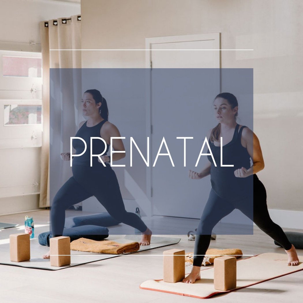 METTA YOGA - San Rafael 3