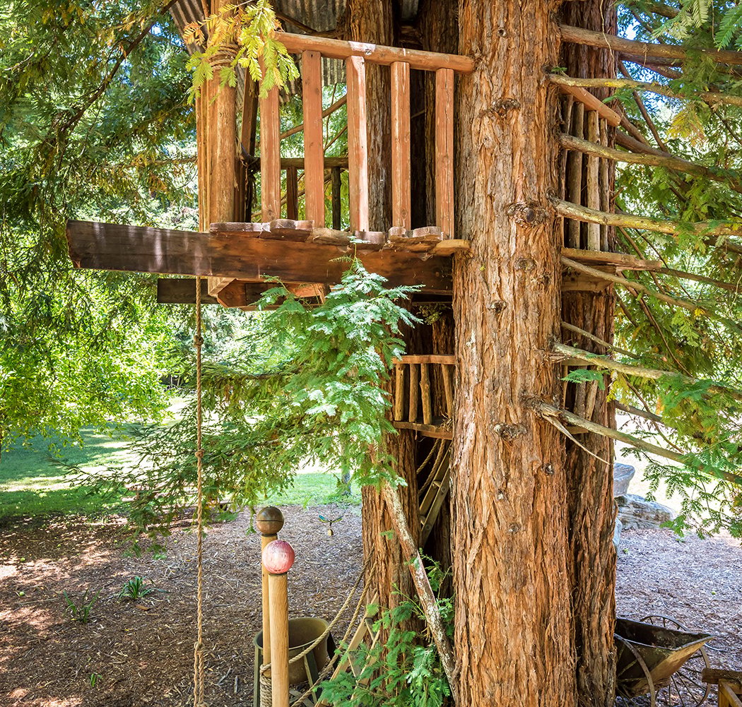 Forest View Ranch 2
