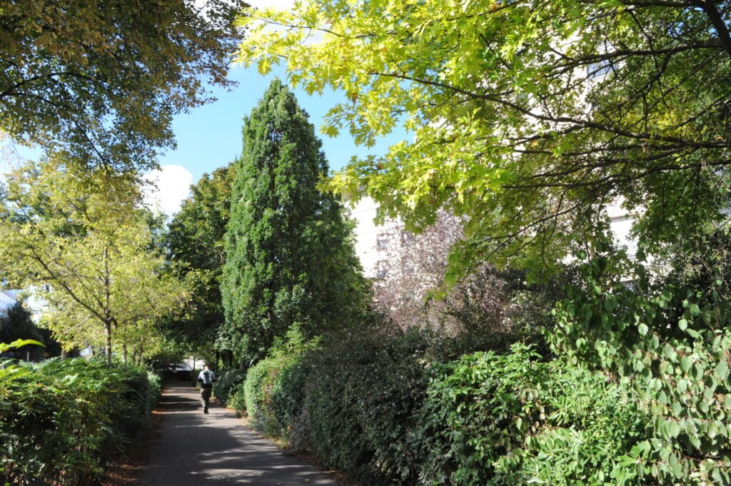 Coulée verte du Sud parisien 4