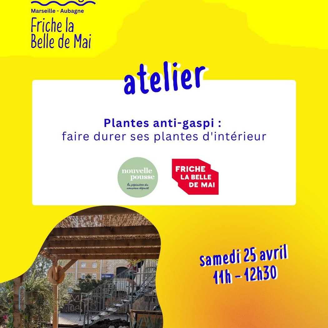 atelier Plantes anti-gaspi : faire durer ses plantes d'intérieur 1