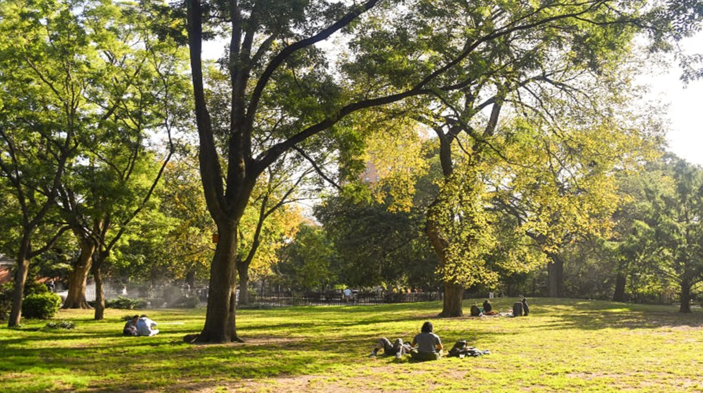 Tompkins Square Park 3