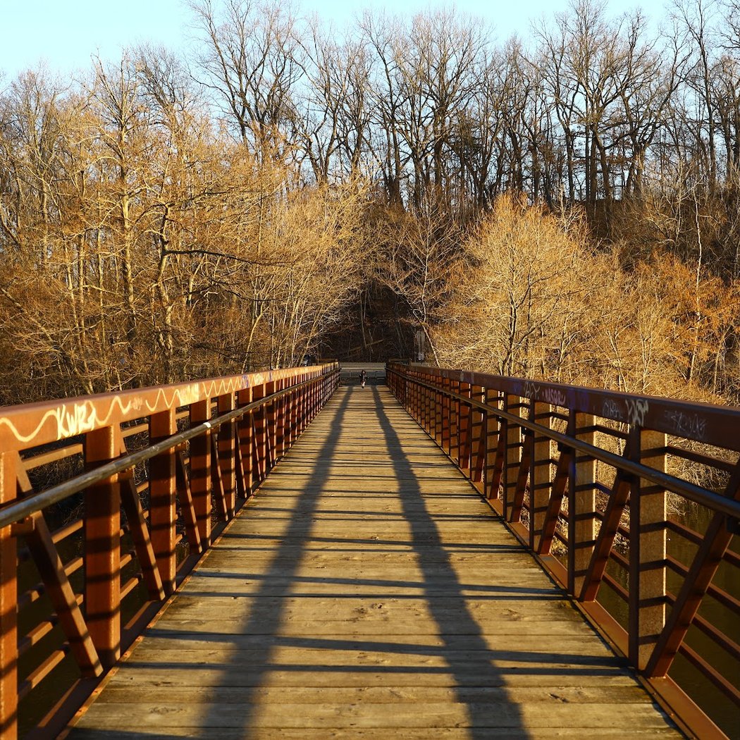 Barton Nature Area 3