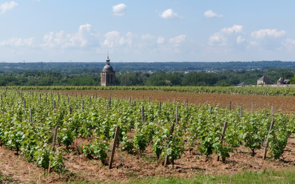 Cave des Producteurs de Vouvray 2