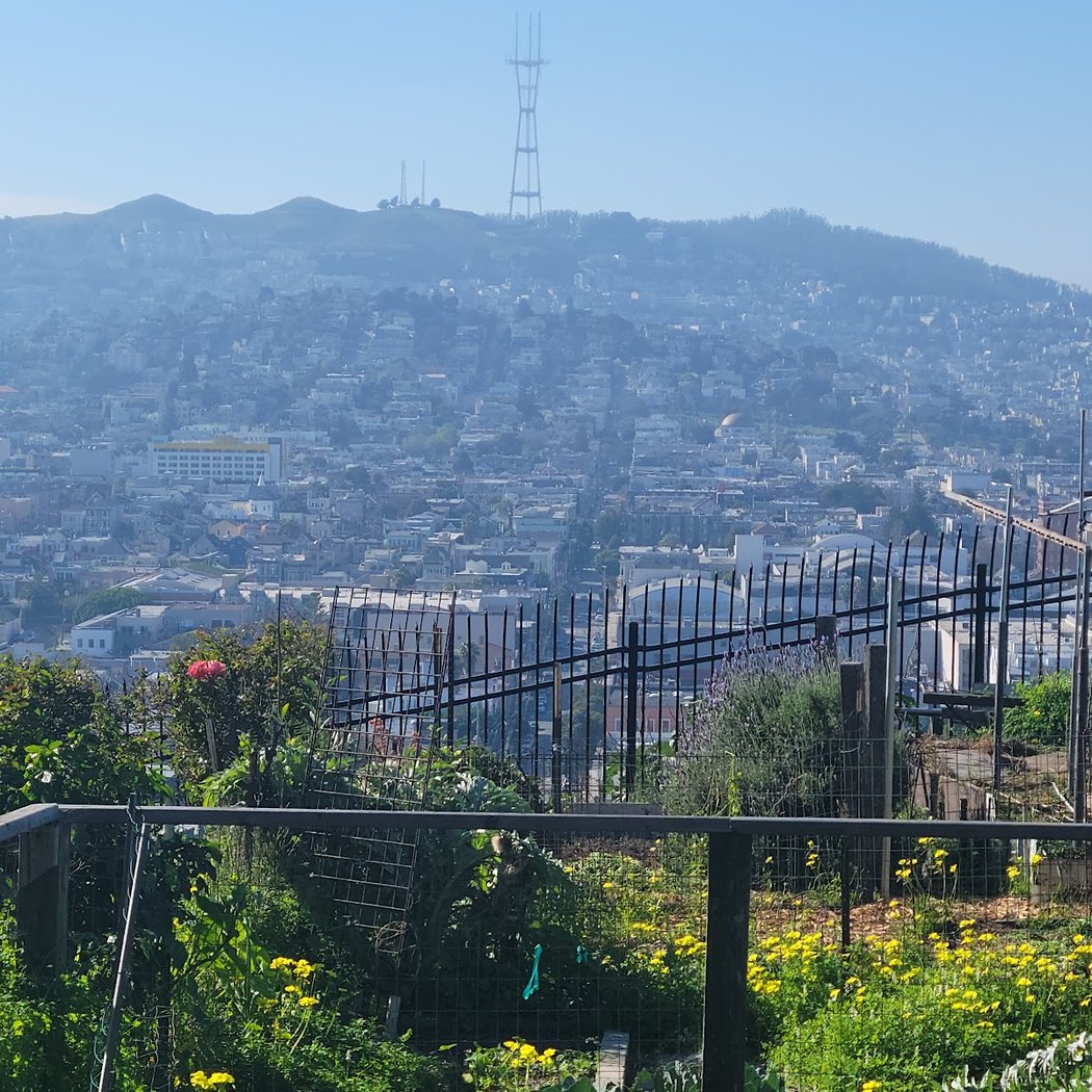 Potrero Hill Community Garden 2
