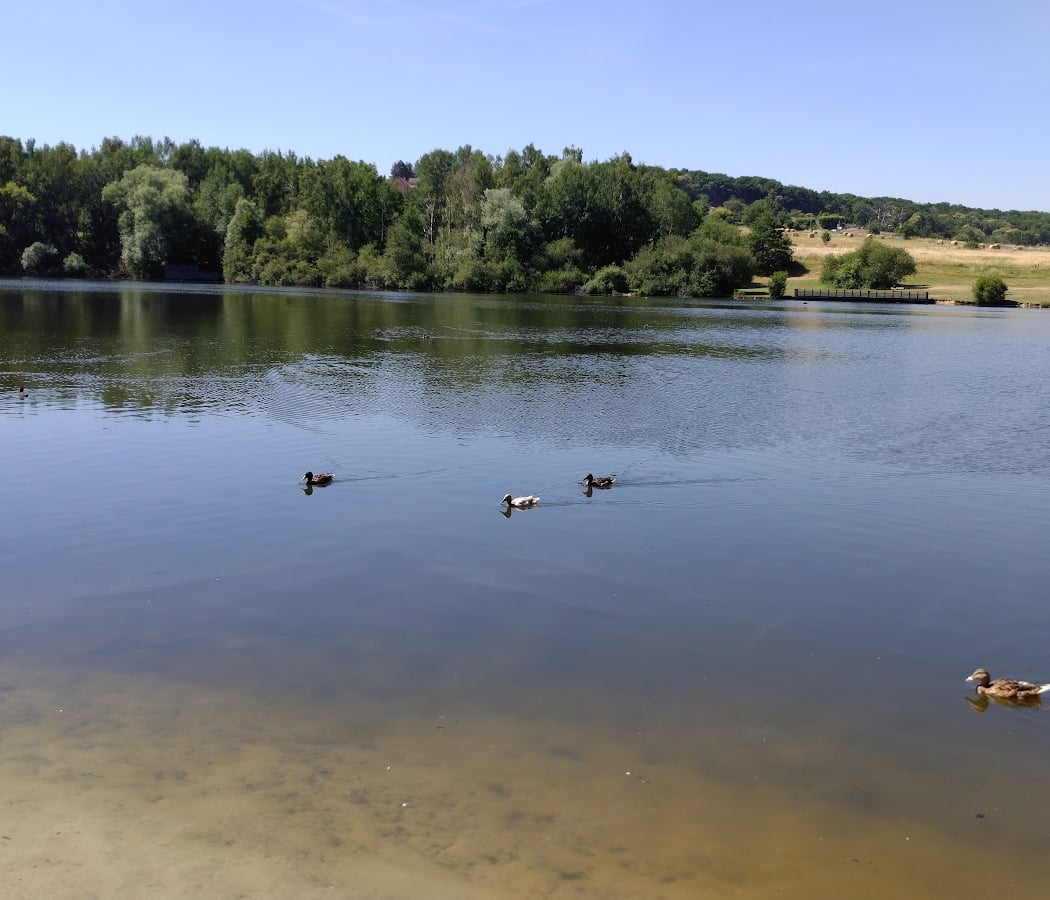 Bassin de la Courance 2