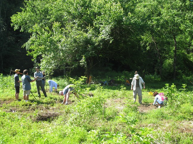 Watersmeet Prairie Grove Restoration Workday 2