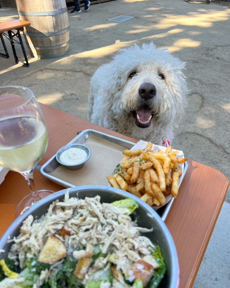 The Garden by Tannery Bend Beerworks 3