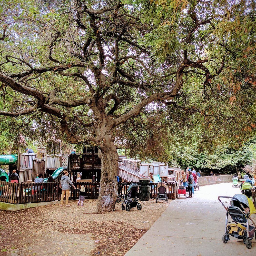 Rockridge-Temescal Greenbelt 1