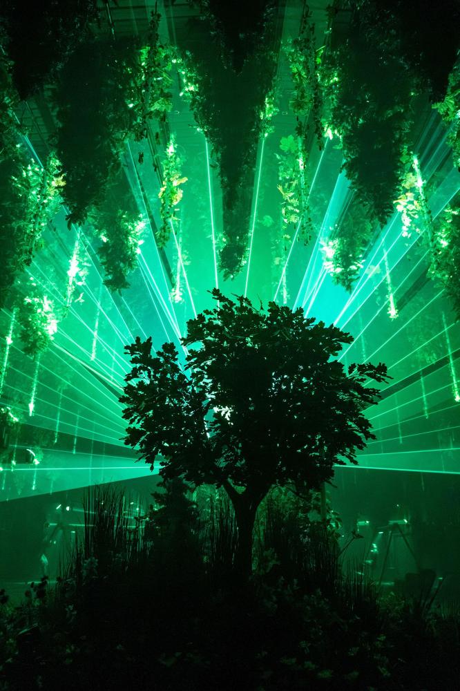 Forest Seasons 2026