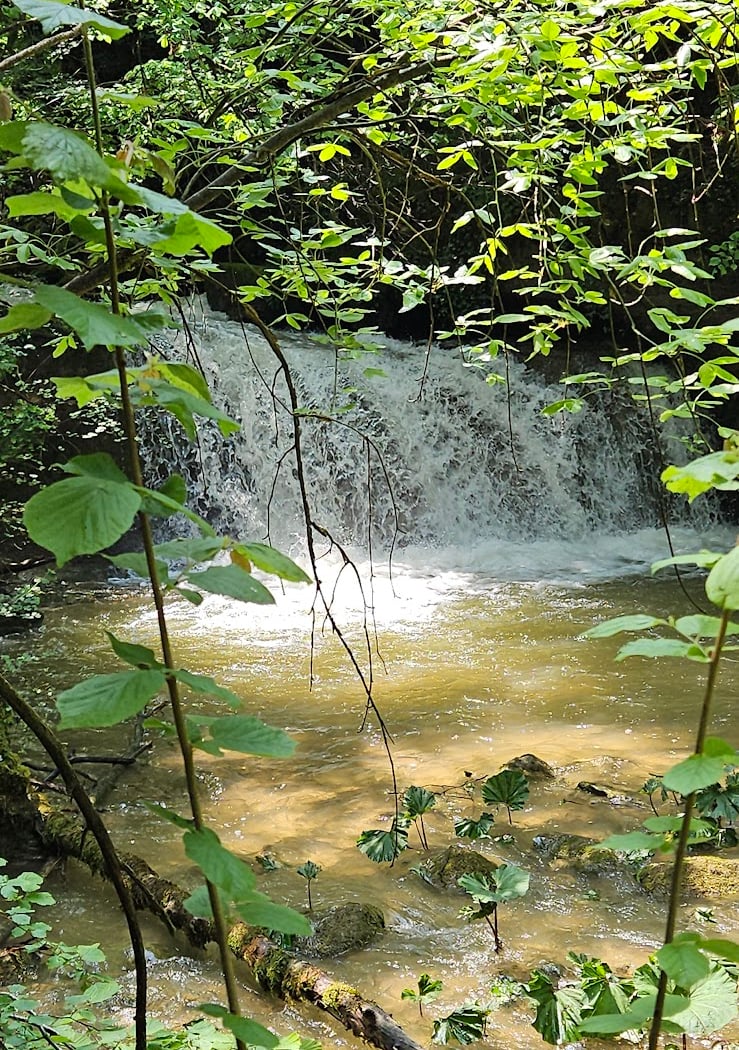 Le Saut Girard 2