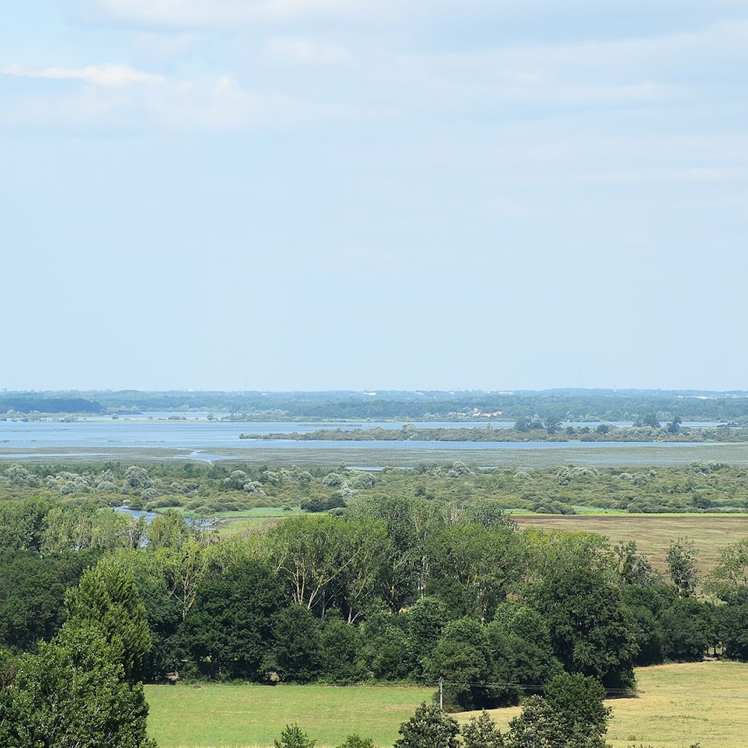 Clocher de Saint Lumine de Coutais - Observatoire sur le Lac de Grand-Lieu 1