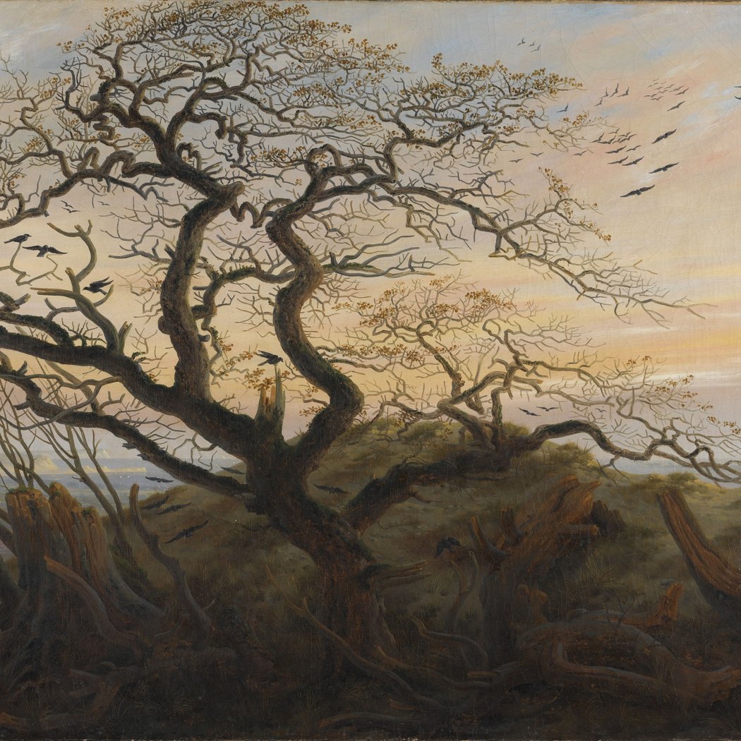 Visite de collection : Peintures de l'Europe du Nord : pays germaniques et scandinaves 1
