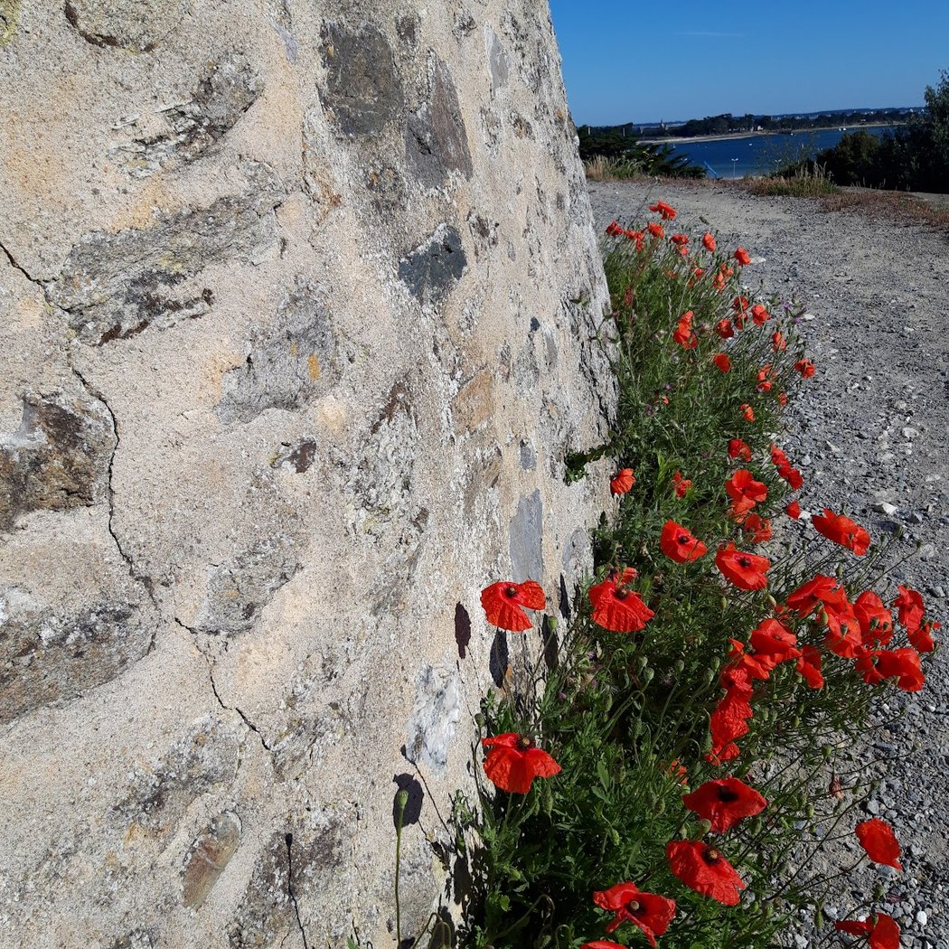 Mont Esprit 1