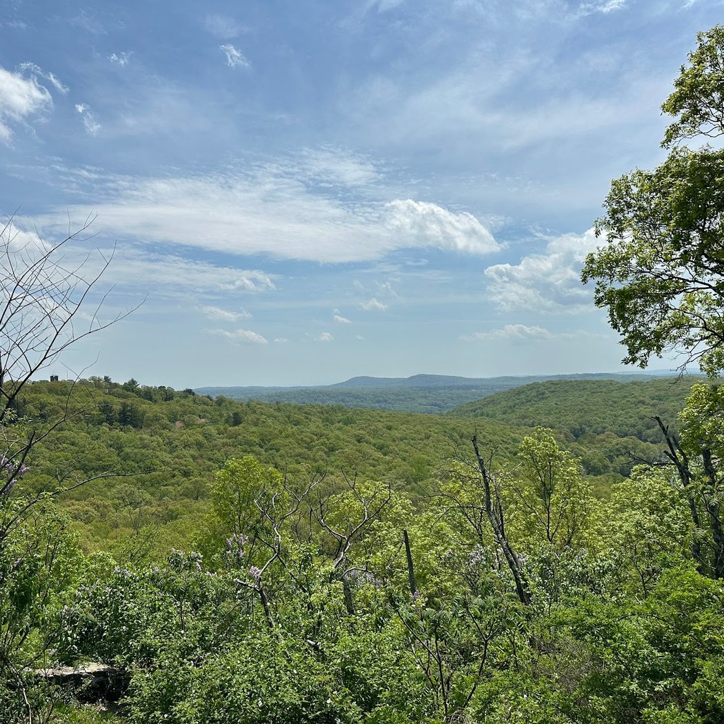 Hiking Trail Parking Area 1