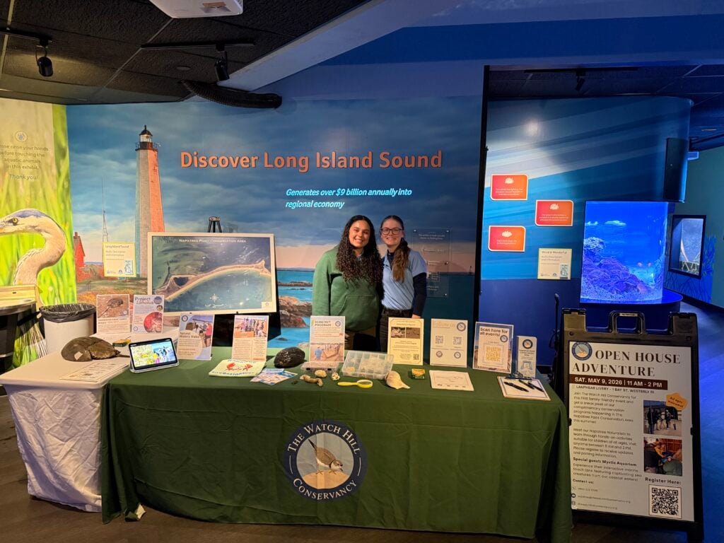 Discovery Table 1