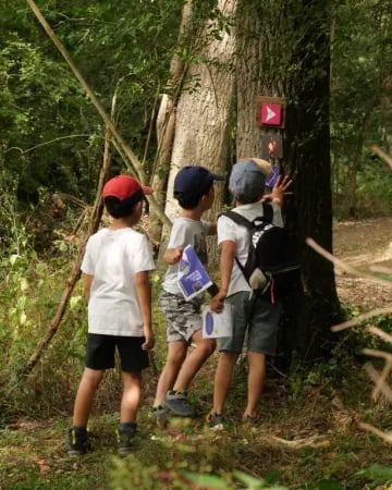 Chasse au trésor dans les vignes 1