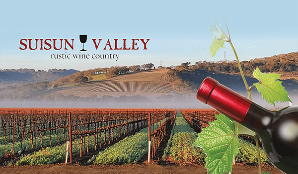 Suisun Valley 2