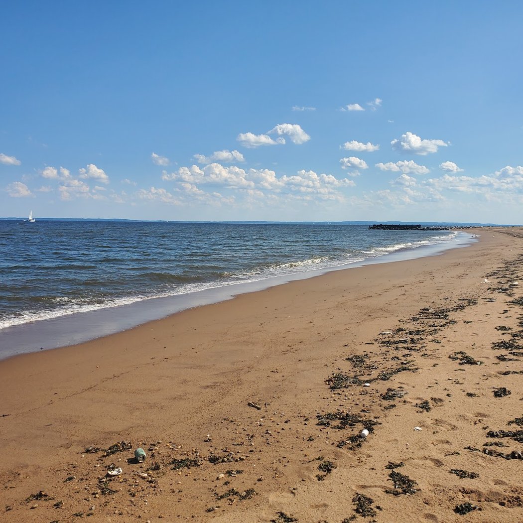 New Dorp Beach 2