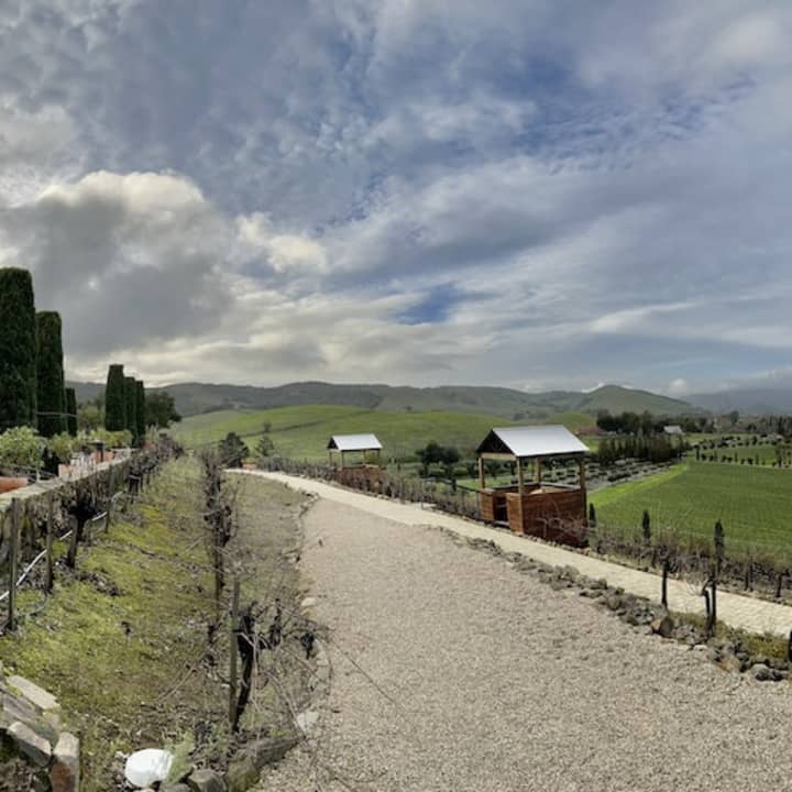 Fisherman's Wharf Wine Country: Half-Day Tour 1