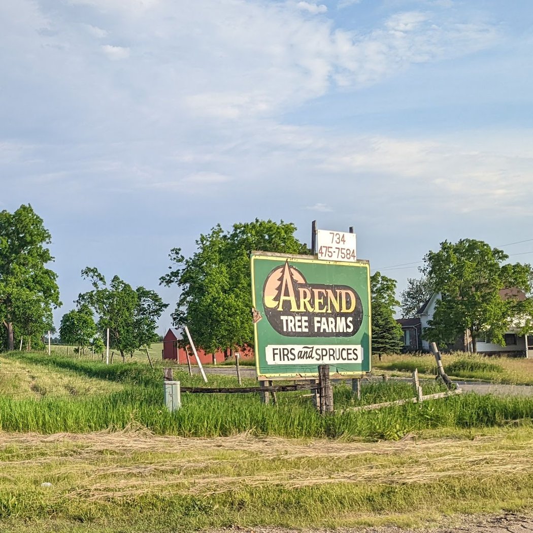 Arend tree farm 3