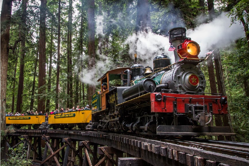 Roaring Camp 1