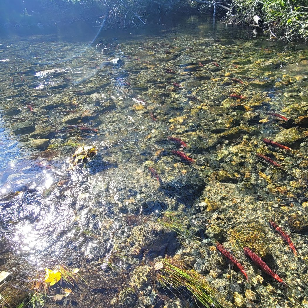 Rainbow Trail 1