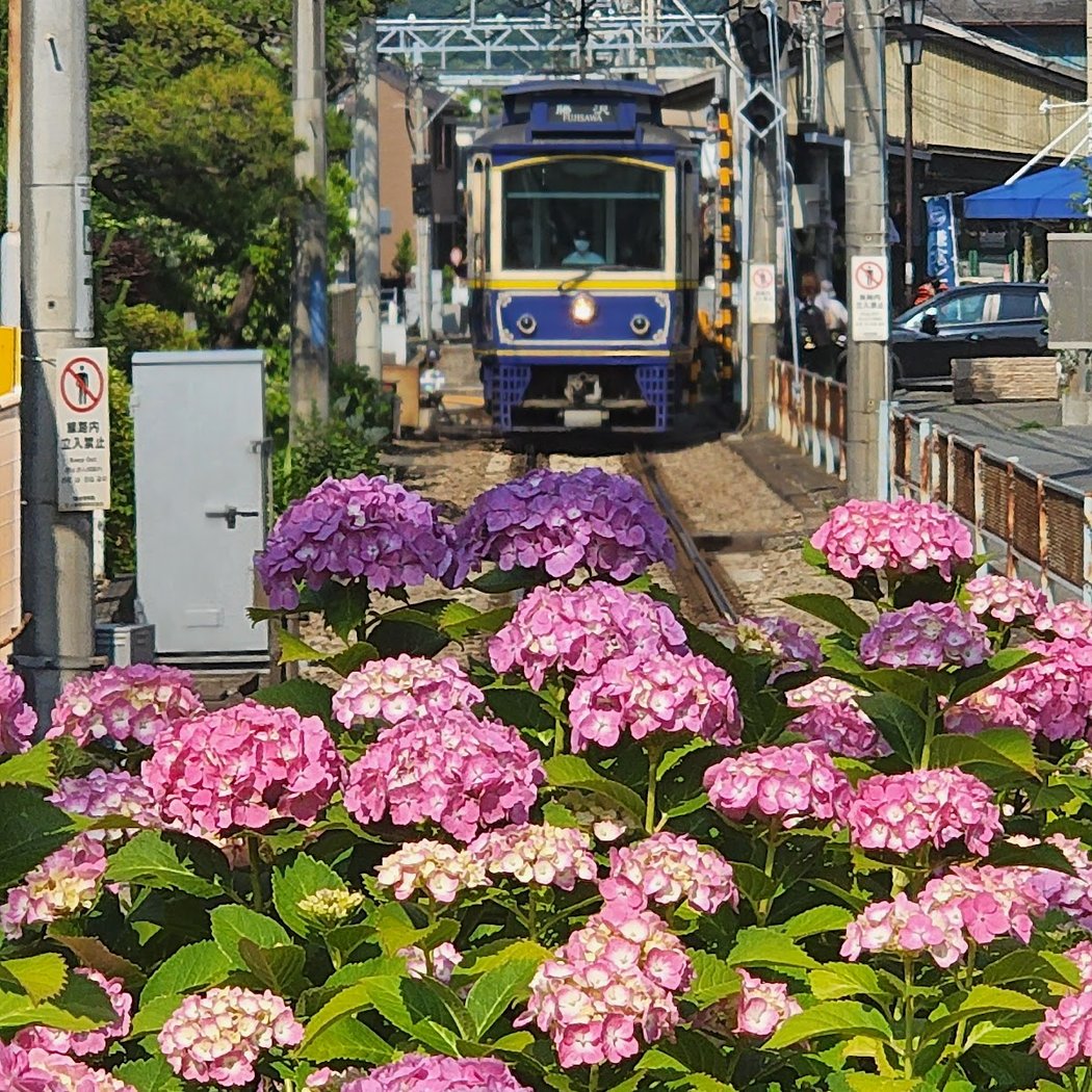 Kamakura 1
