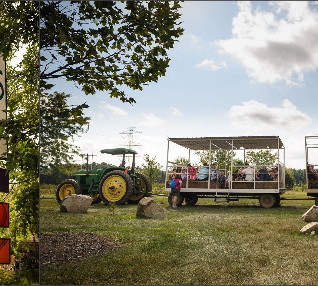 Pick-Your-Own at Wards Berry Farm