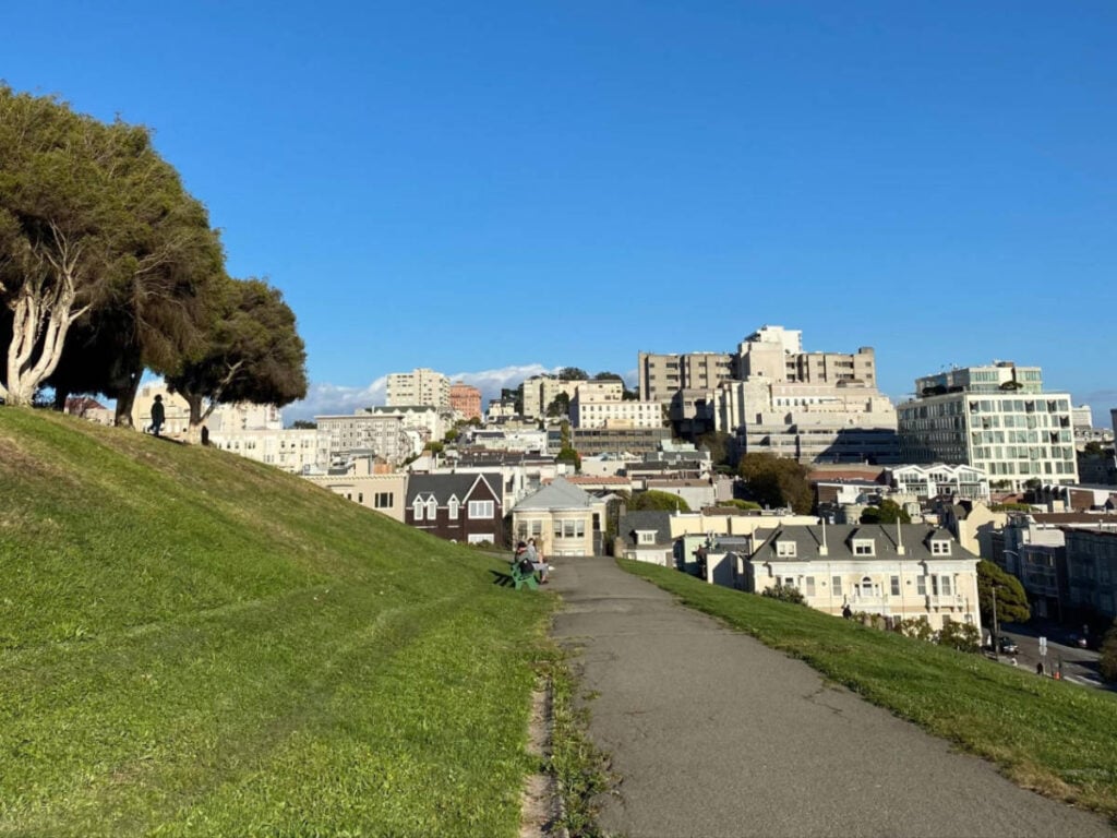 Alta Plaza Park 3