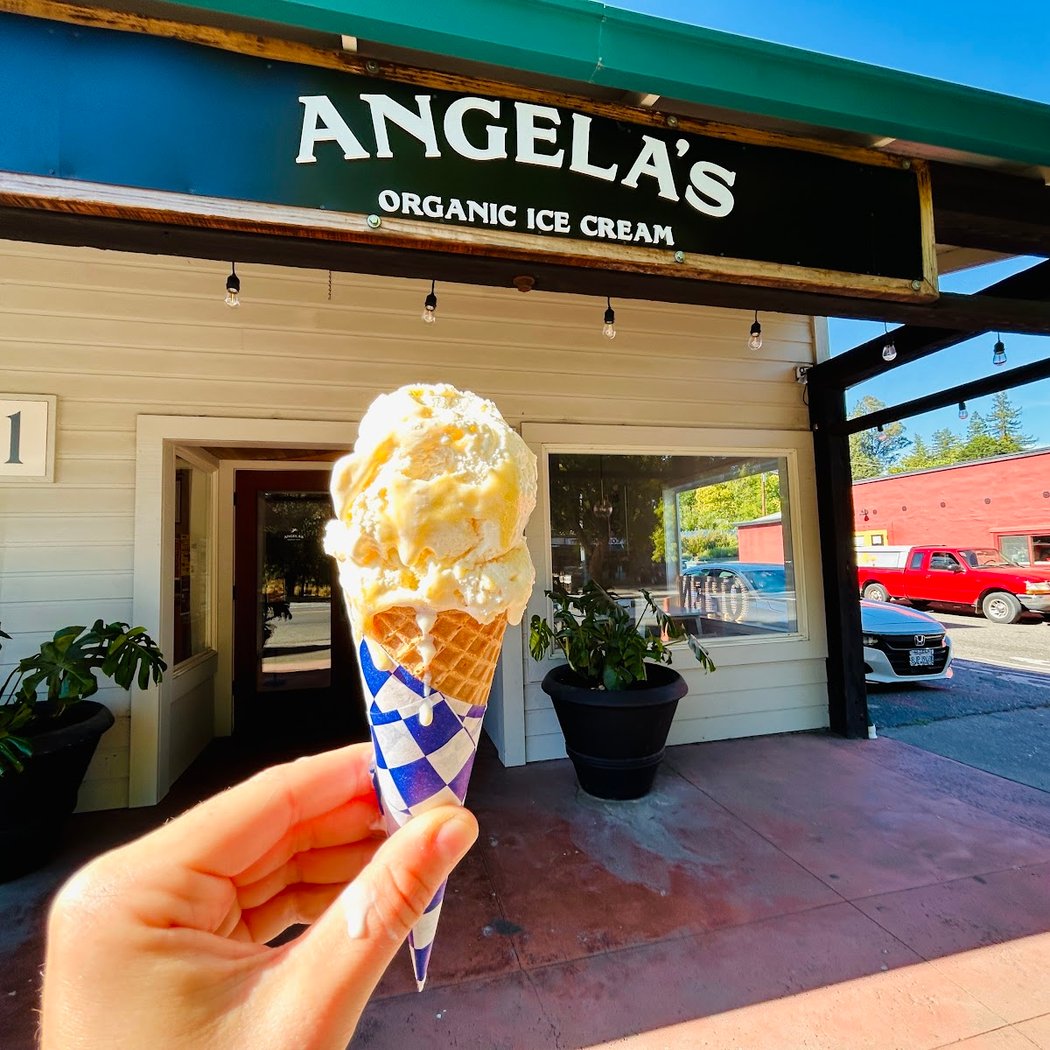 Angela's Organic Ice Cream 2