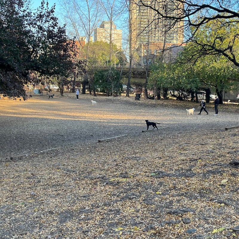 Hillside Dog Park 2