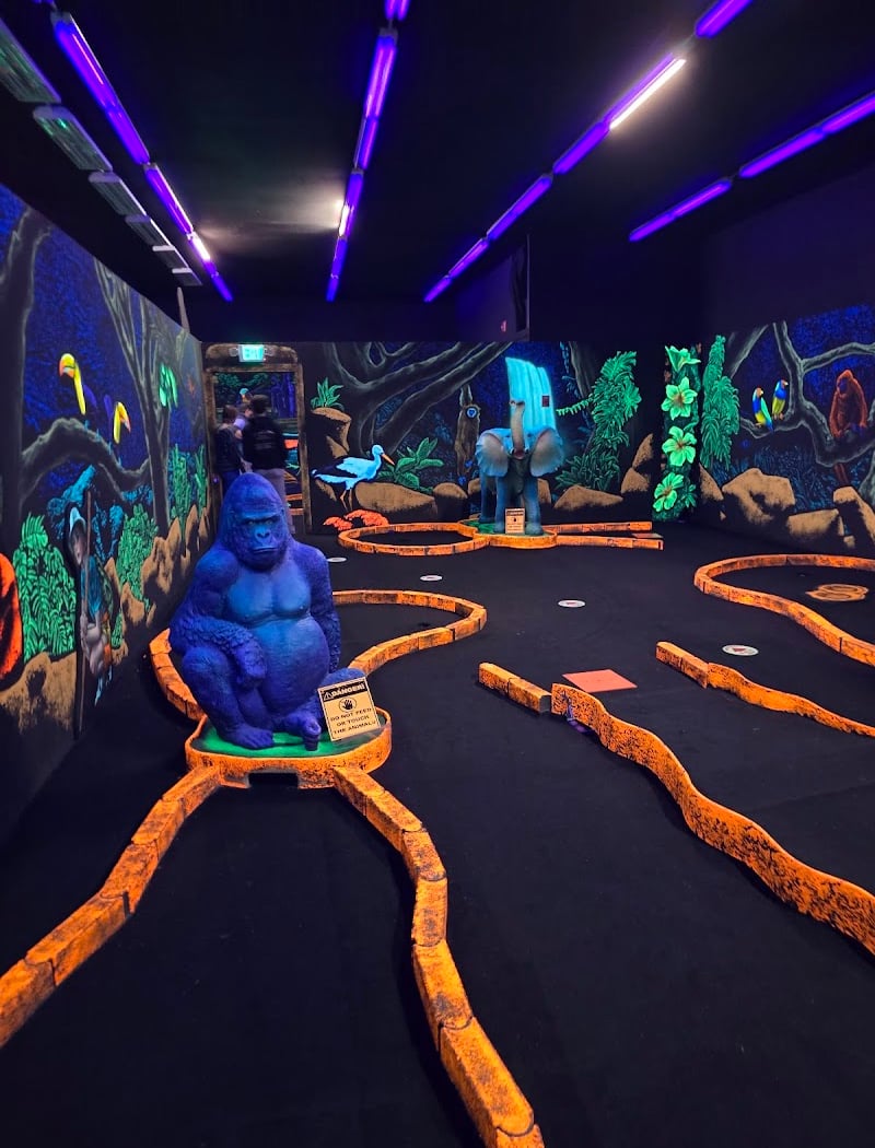 Orono Arcade LLC 2