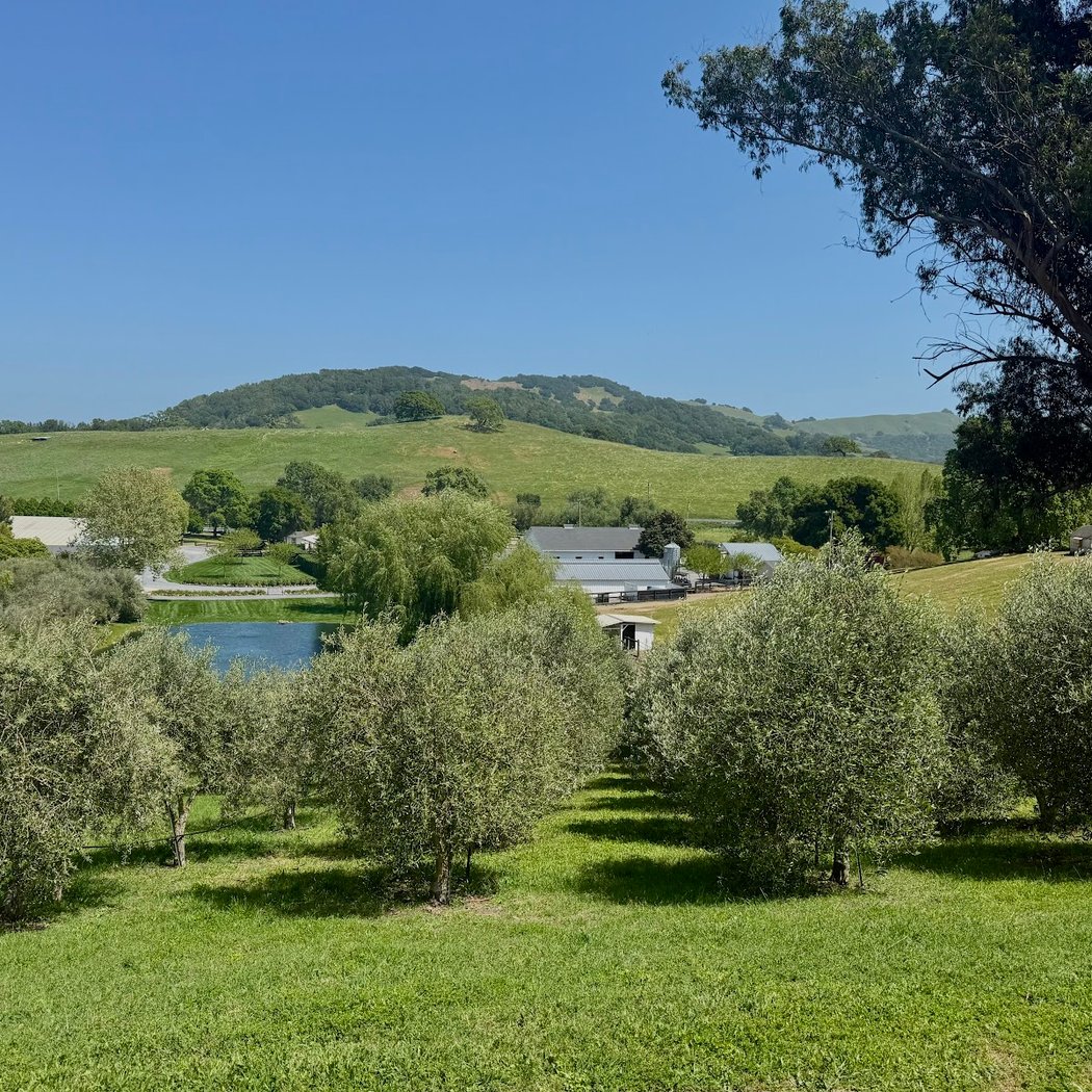Beaumont Farms 3