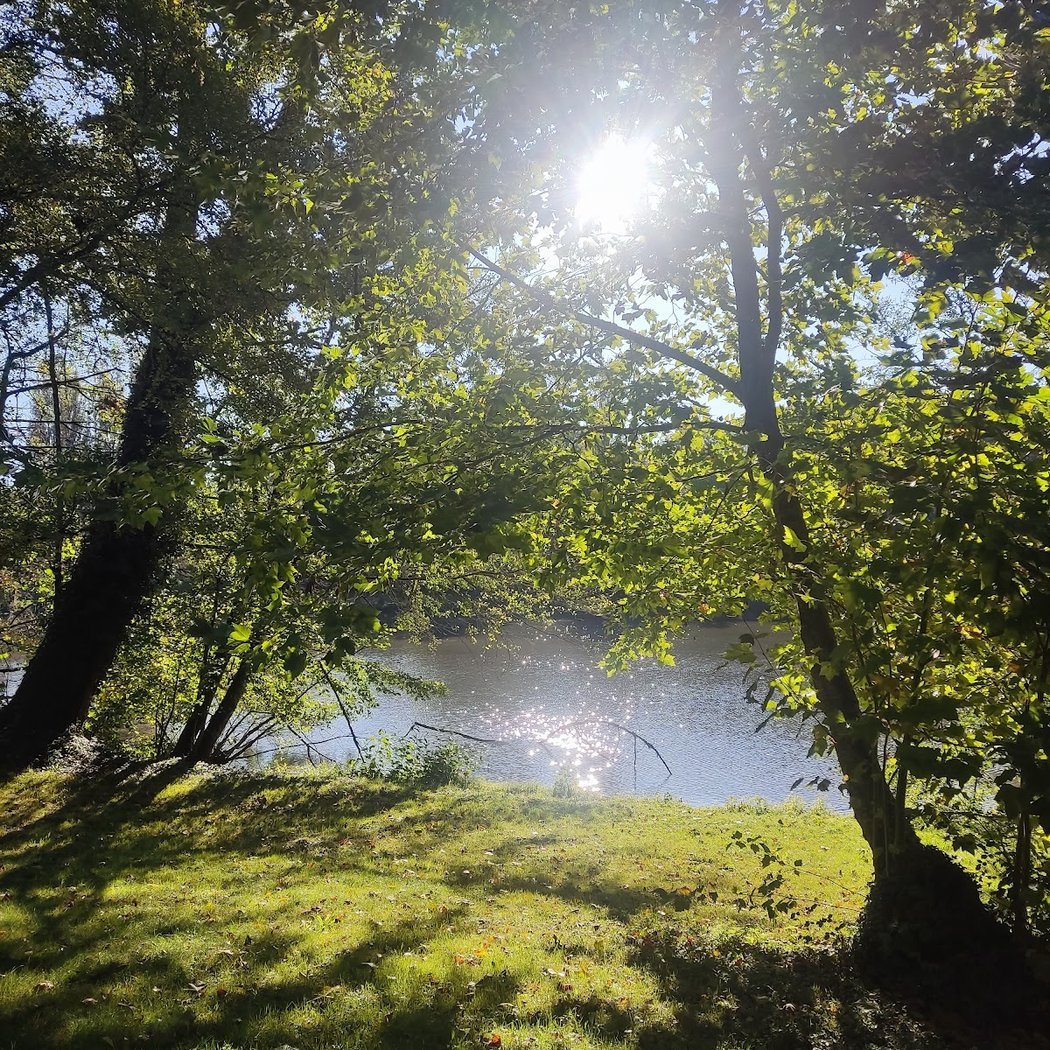 Initiation tir à l'arc 4