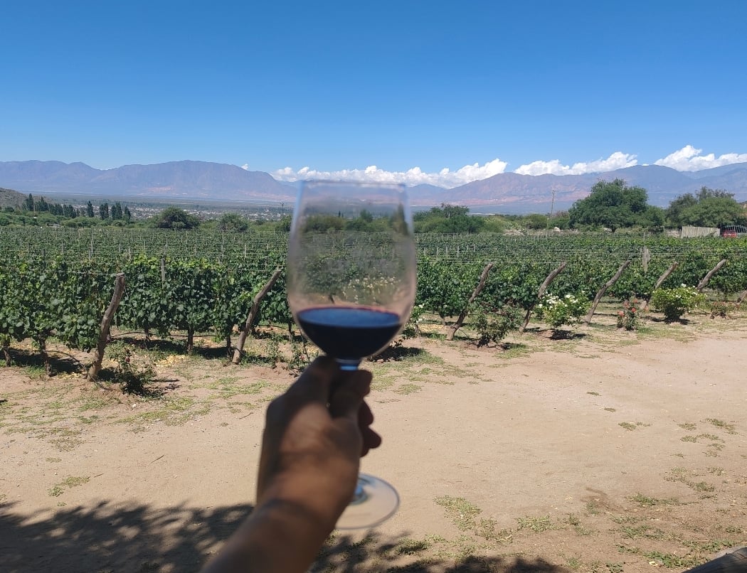 Atelier Dégustation de Vin Argentin 3