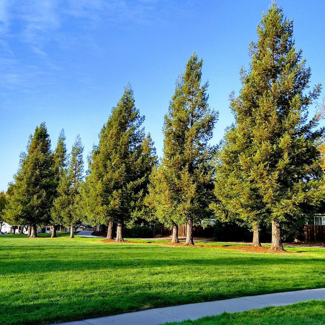 Harvest Park 1