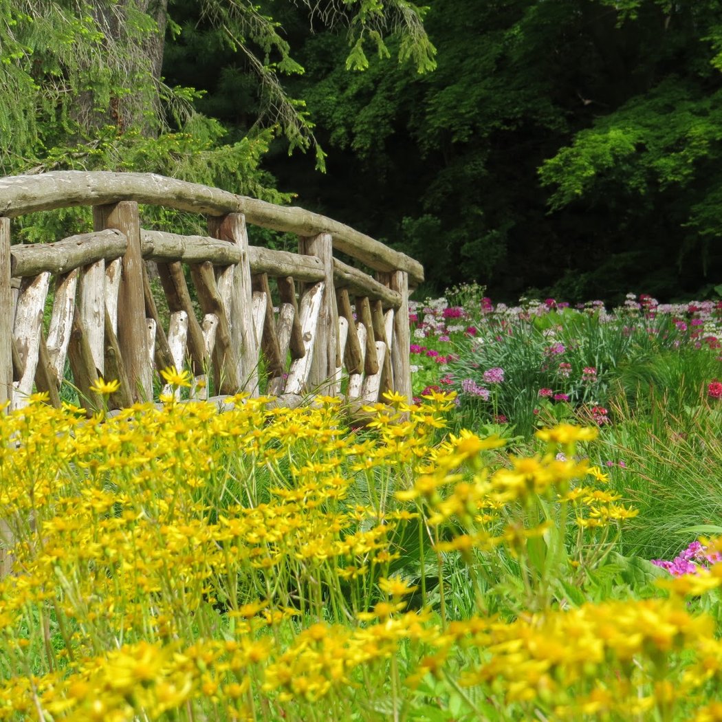 Leonard J Buck Garden 2