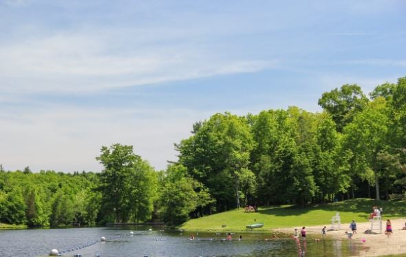 Wilcox Memorial Park 3