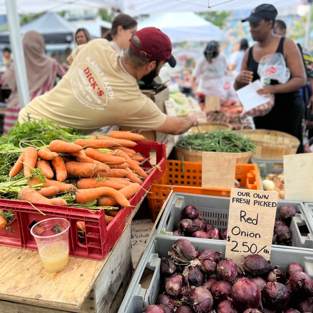 Central Square Farmers Market 1
