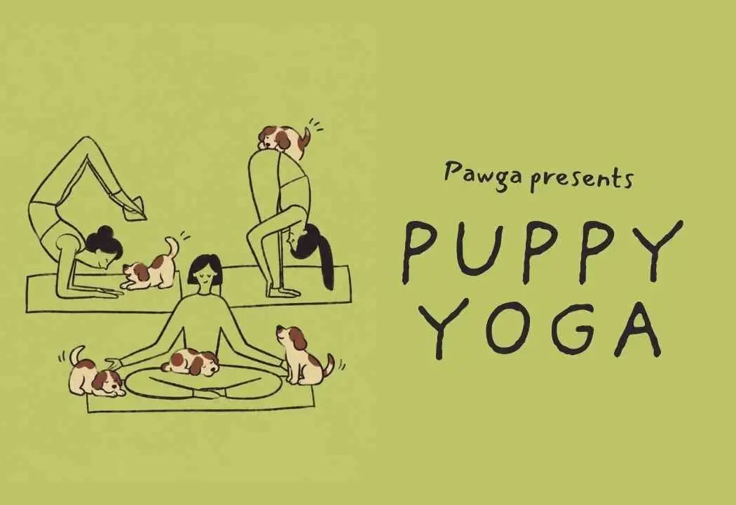 Puppy Yoga