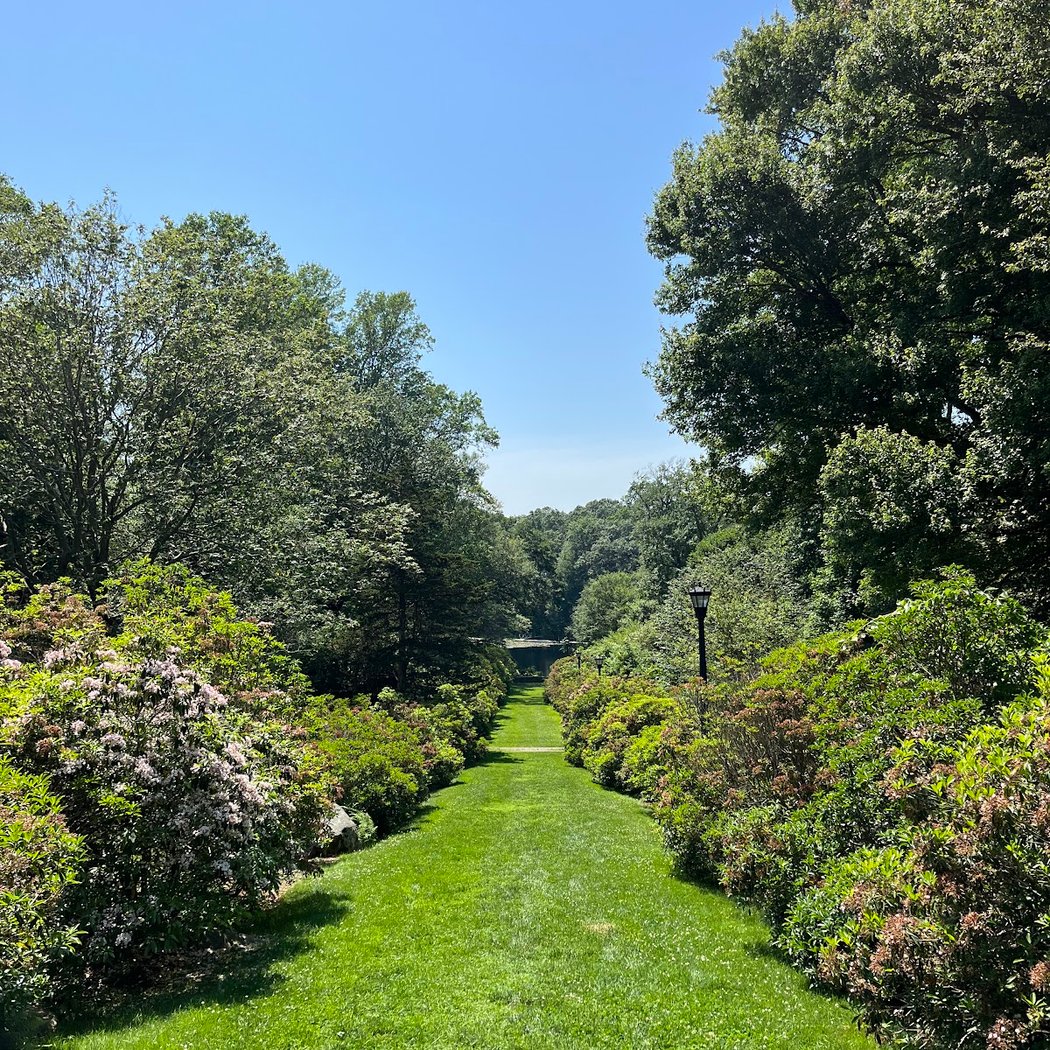 Connecticut College Arboretum 2
