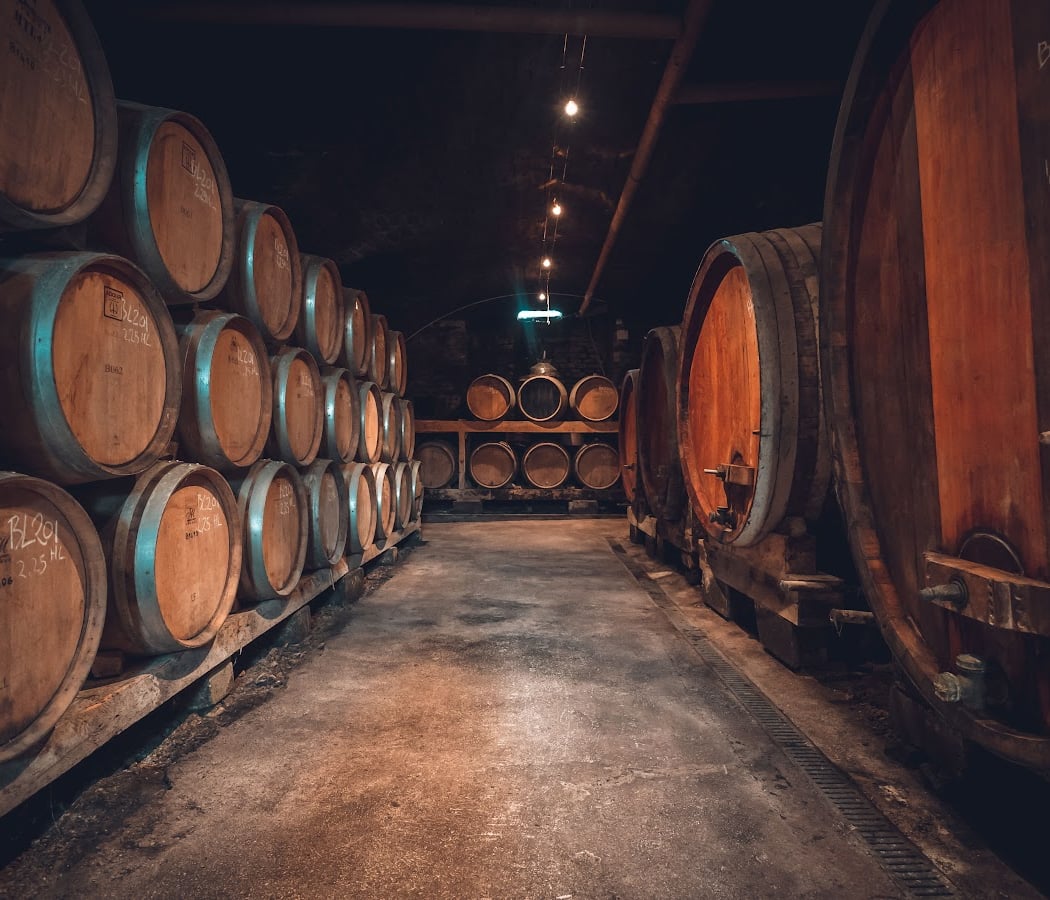 Portes ouvertes au Domaine Baud 1
