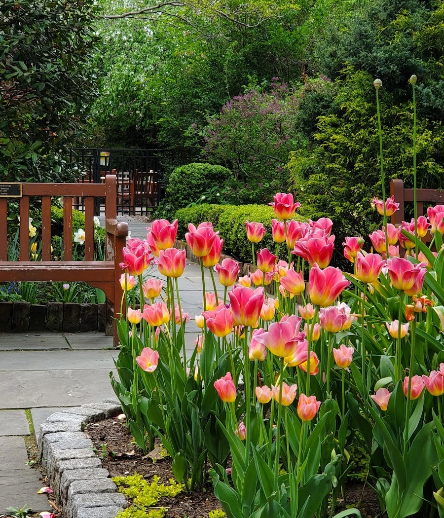 St Luke in the Fields Garden 4