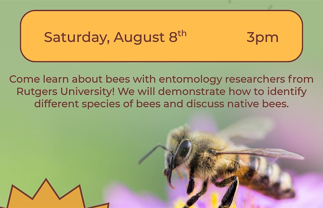 NATURAL BEE WORKSHOP 1