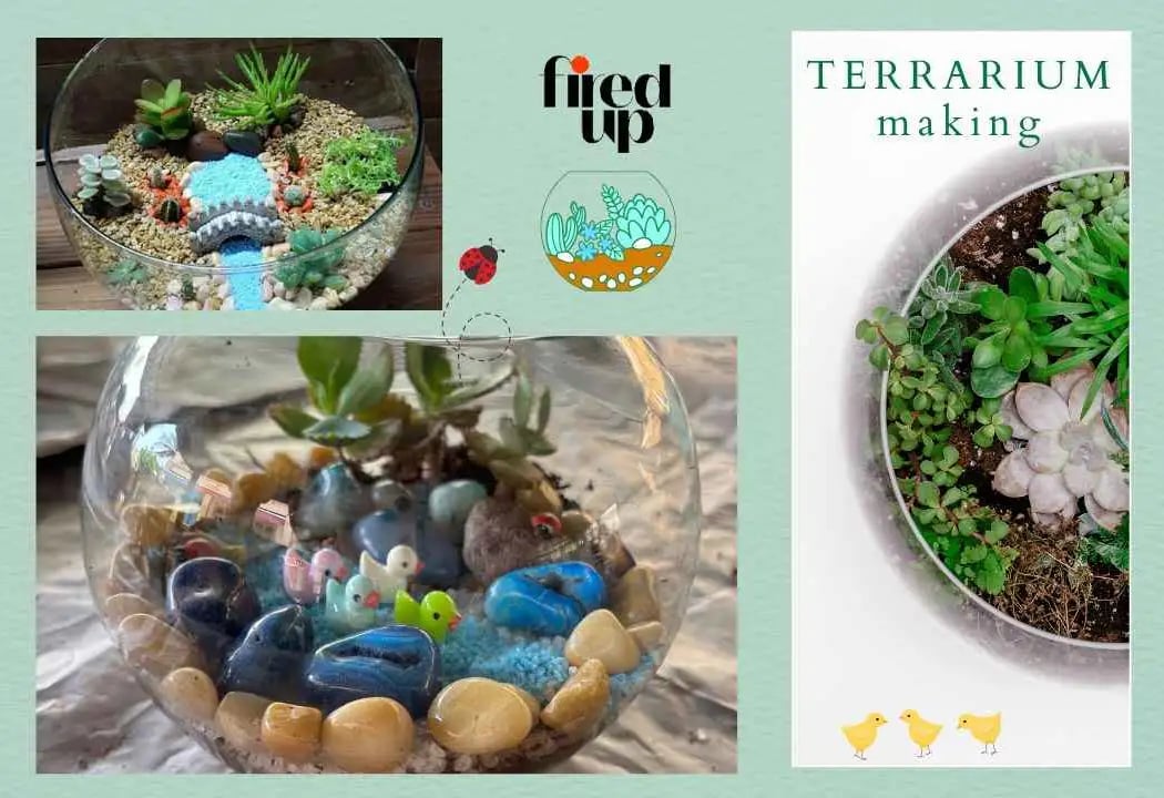 Terrarium Making Workshop 1
