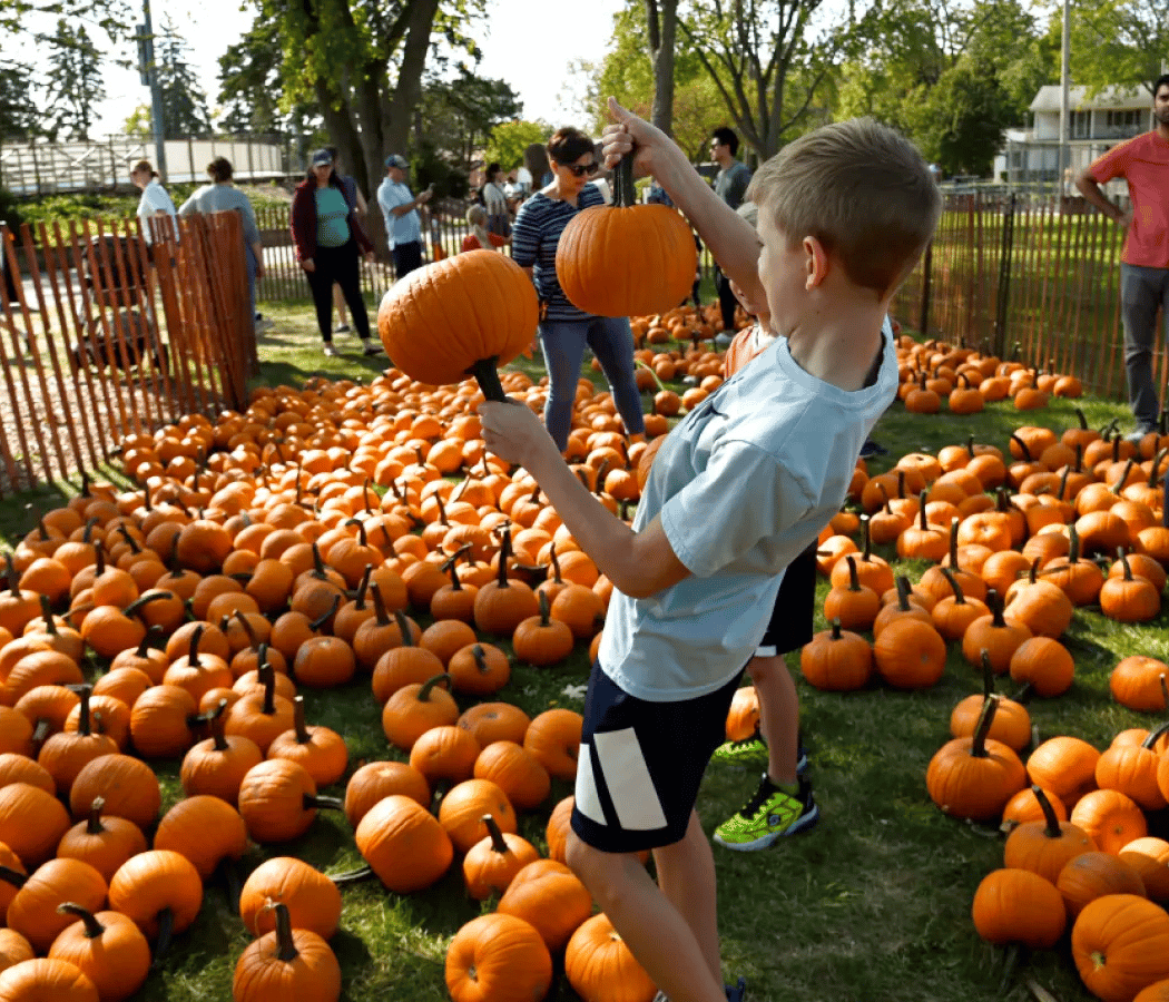 Northbrook Autumnfest 2026 1