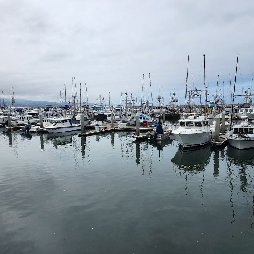 Half Moon Bay Whale Watch Departure 3