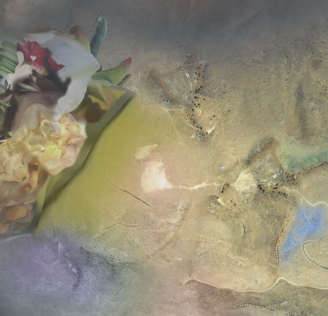 Quantum Natives: Grace Nexus 1