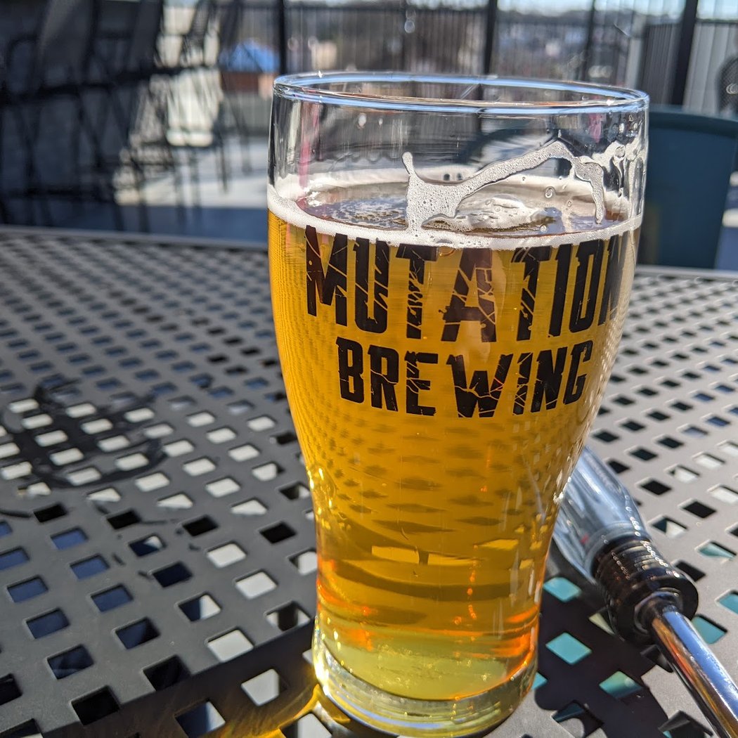 Mutation Brewing and Distilling Company 2