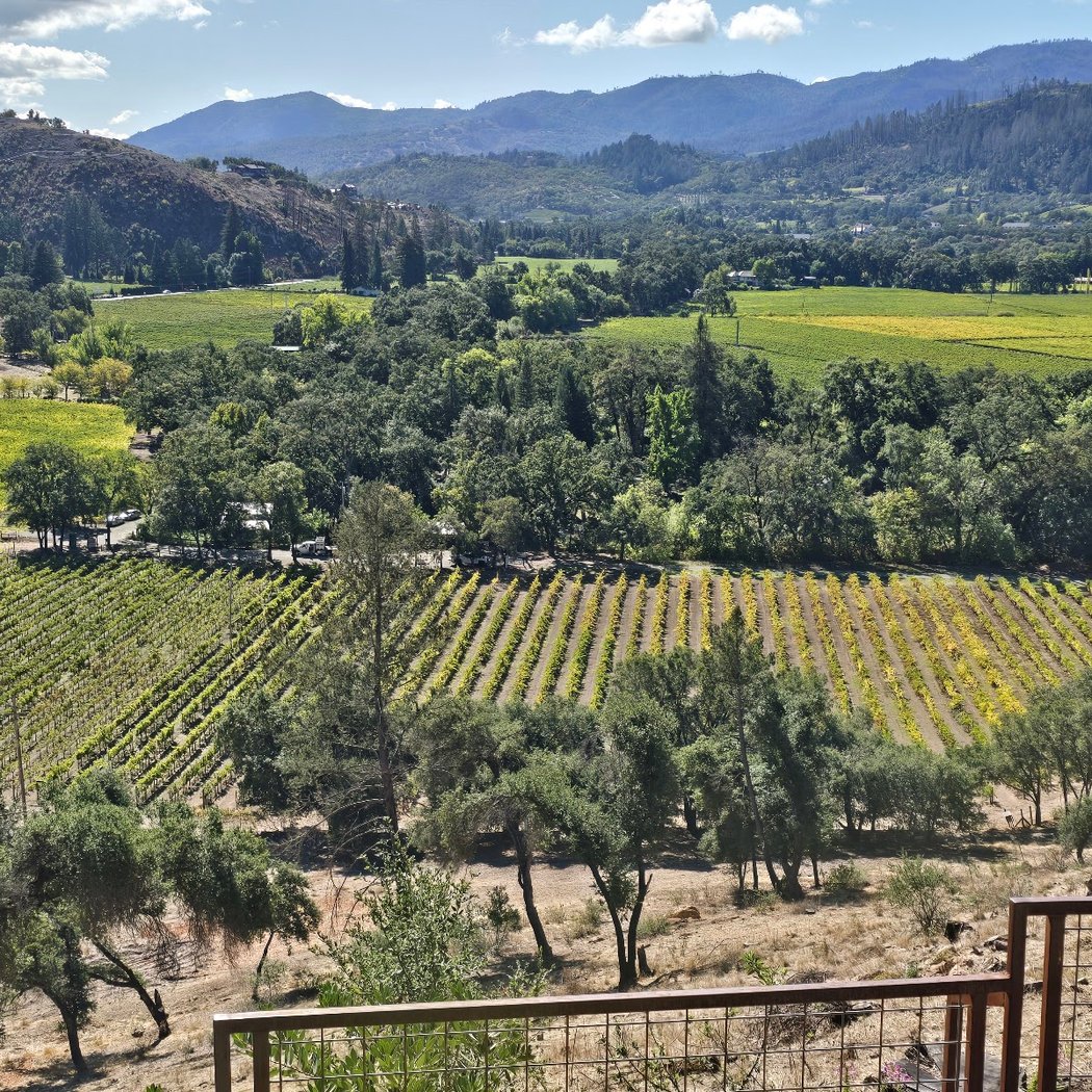 Rombauer Vineyards’ Annual Joy of Wine 3